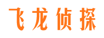 扶沟侦探